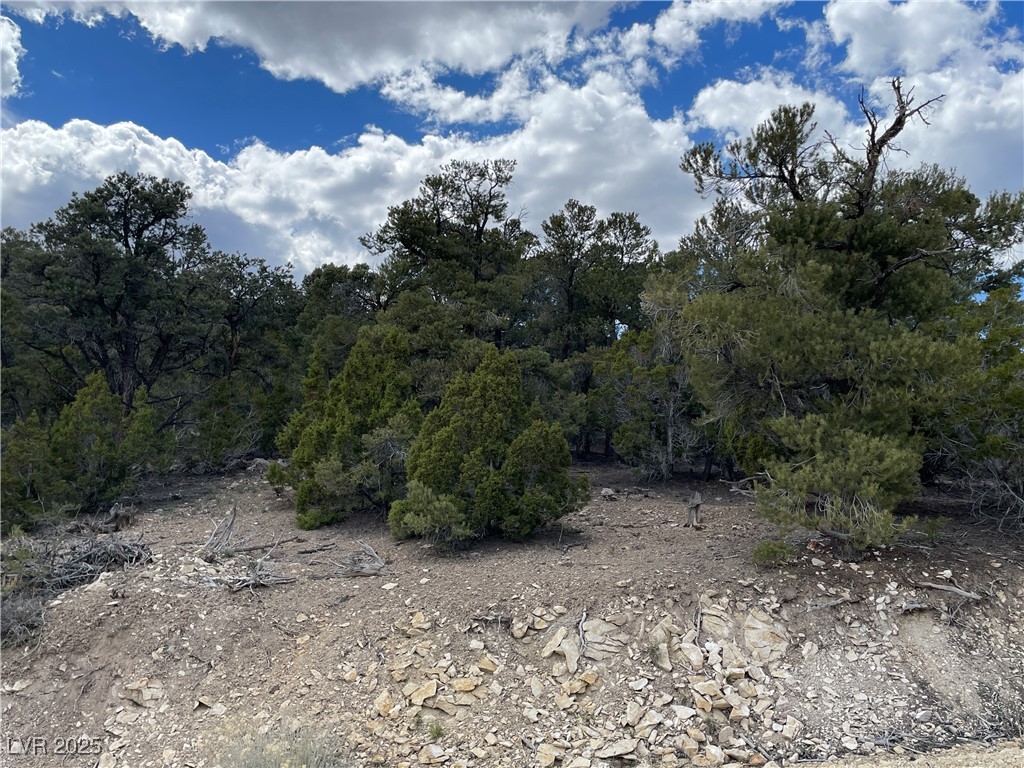 175 E Ward Mountain Drive, Ely, Nevada image 2