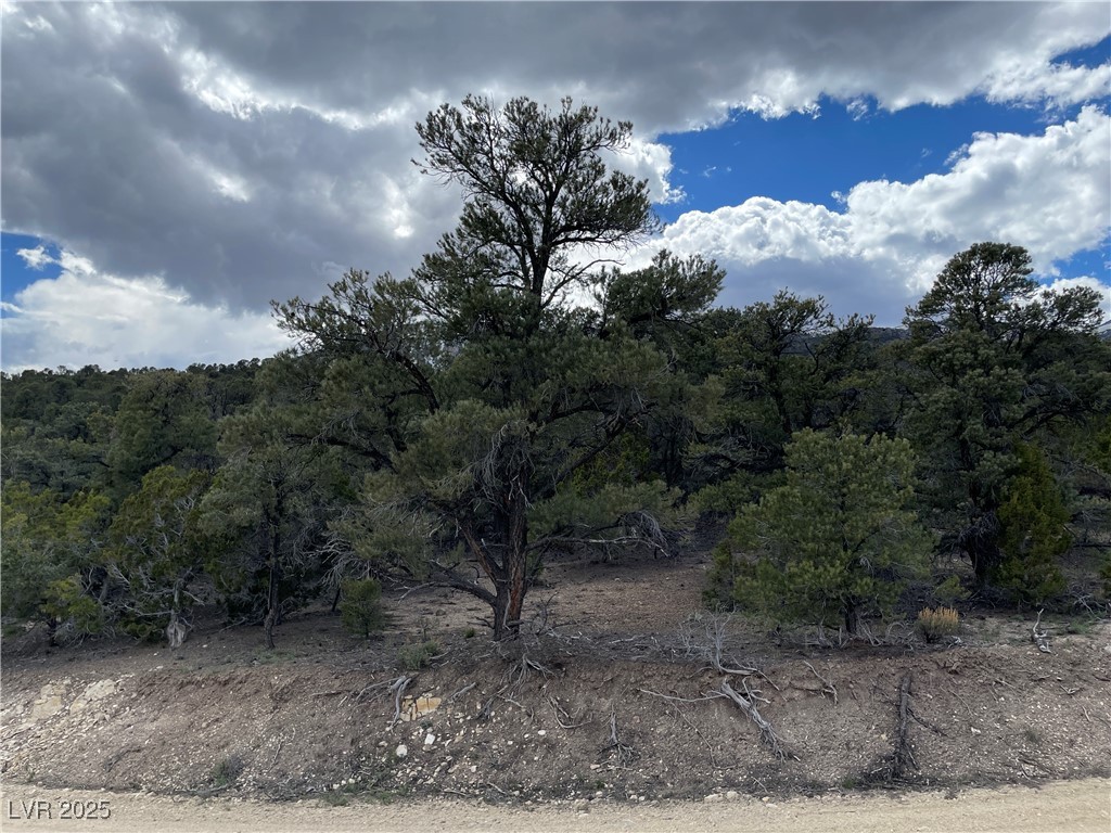 175 E Ward Mountain Drive, Ely, Nevada image 3
