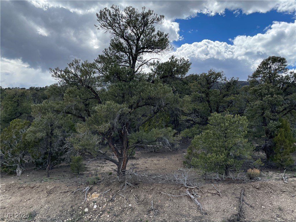175 E Ward Mountain Drive, Ely, Nevada image 1