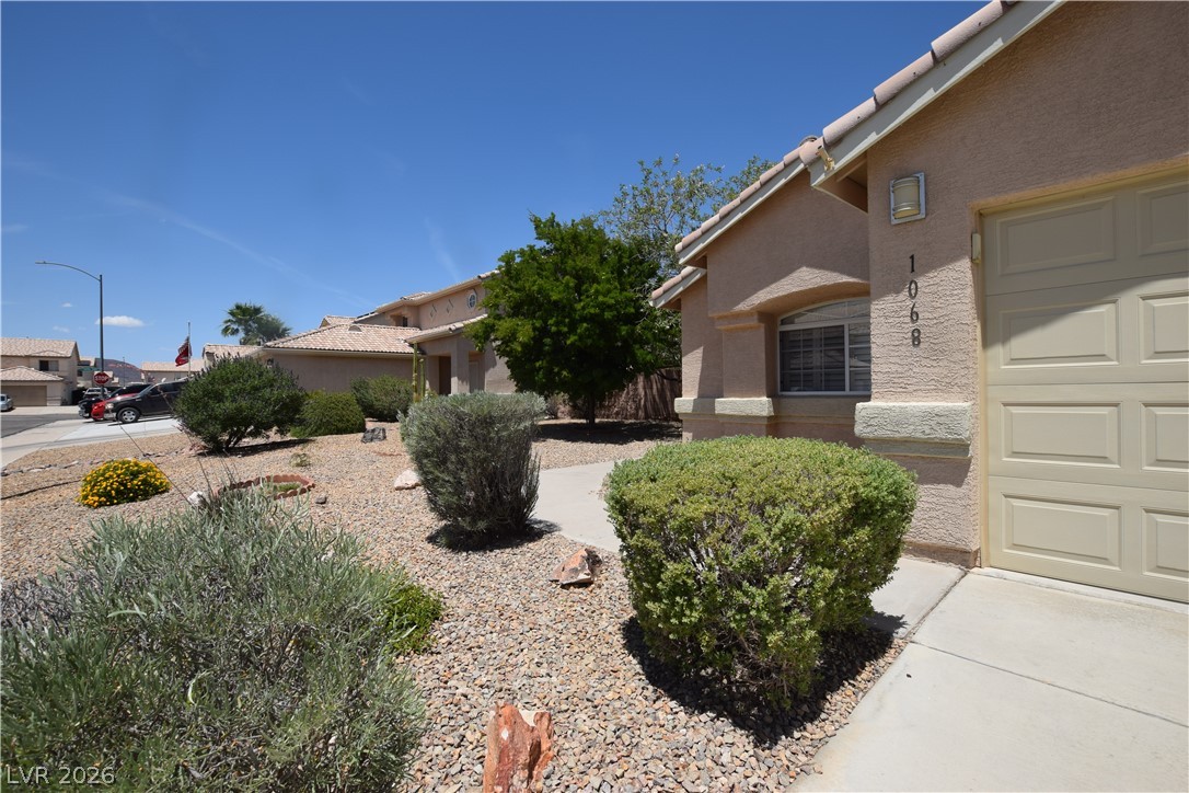 1068 Harpy Eagle Avenue