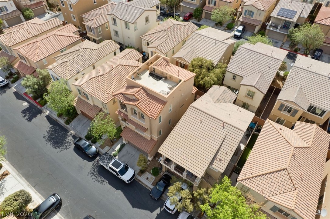 9865 Lime Tree Street