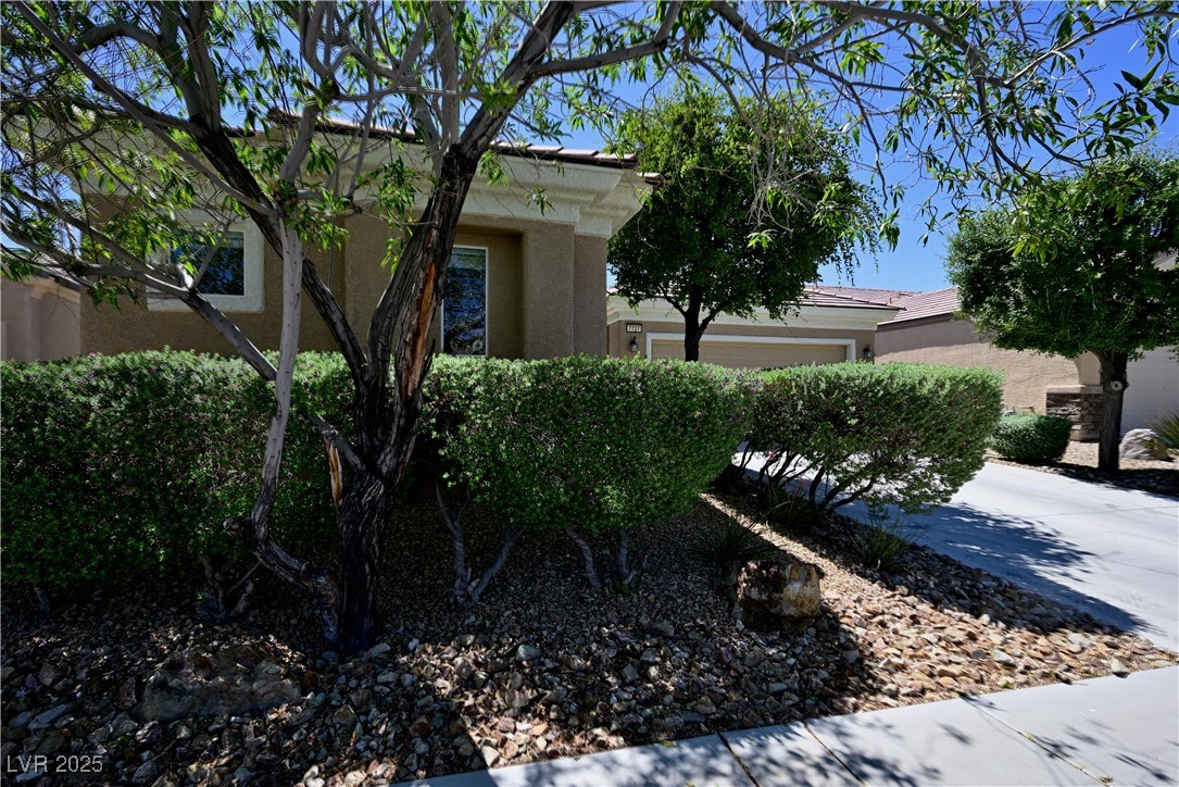 7727 Widewing Drive