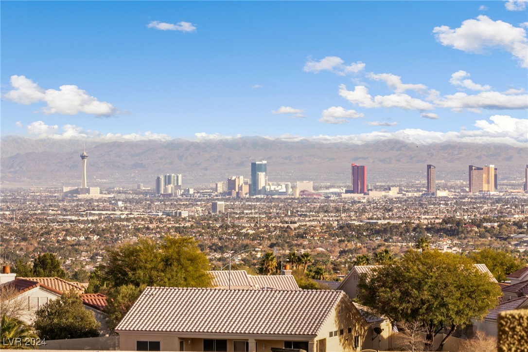 2682 Evolutionary Lane, Las Vegas, Nevada image 38