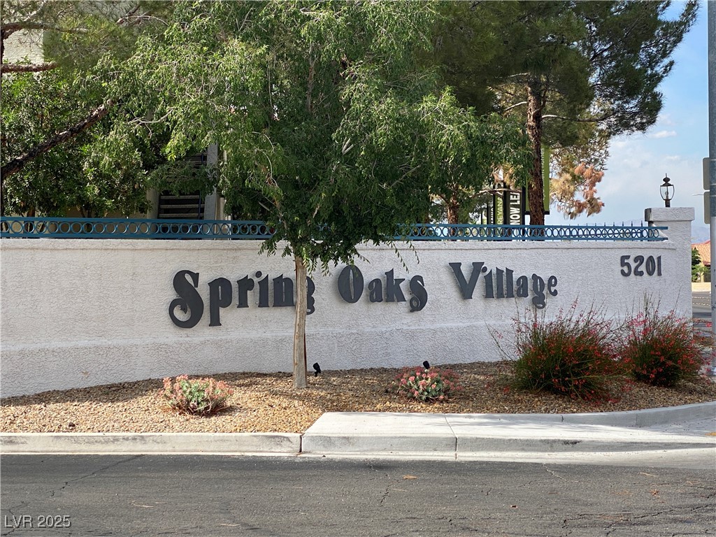 5201 S Torrey Pines Drive #1253, Las Vegas, Nevada image 35