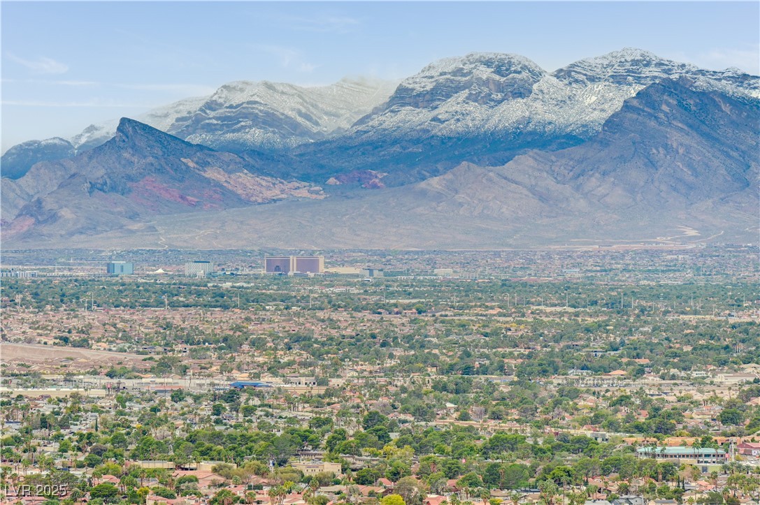 4381 W Flamingo Road 5009