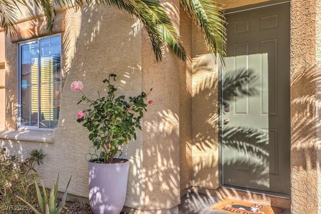 6228 Wood Stork Avenue