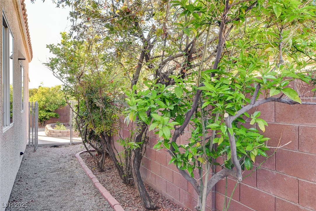 1506 Camino Summit Avenue, Henderson, Nevada image 41