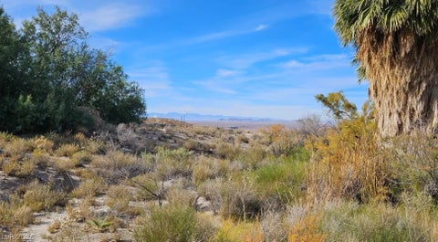 Tiny photo for Gold Butte Road, Other, NV 89007 (MLS # 2774749)