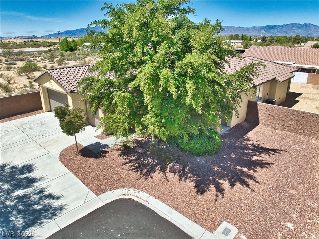 4920 Pacini Court