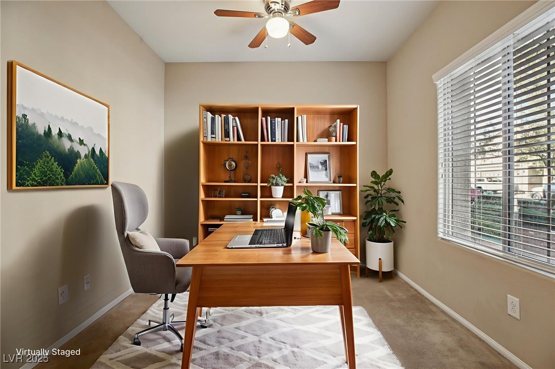 6751 Mojave Blush Drive