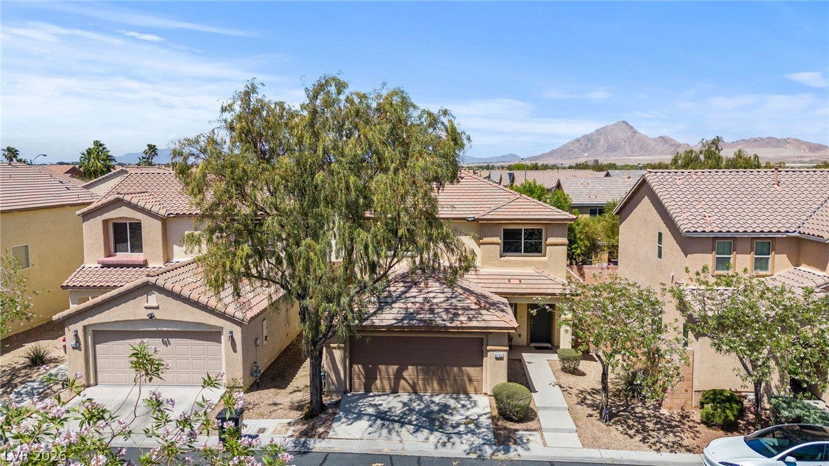 6702 Mojave Blush Drive