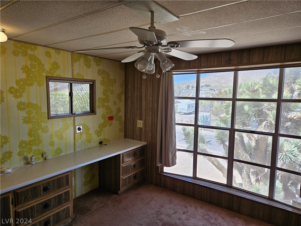 249 E Hobson Street, Searchlight, Nevada image 6