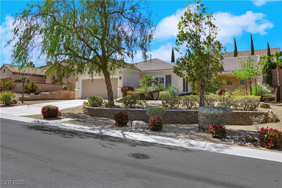 2321 Orangeburg Place, Henderson, Nevada image 3