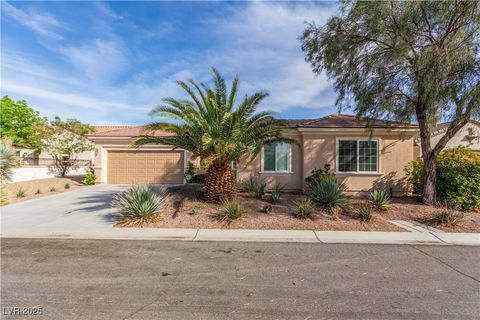 2489 Black River Falls Drive Henderson NV 89044