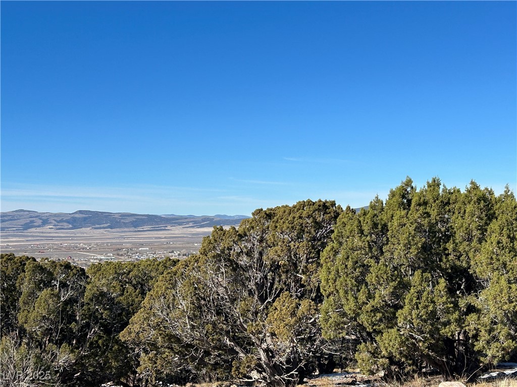 1624 S Panorama Drive