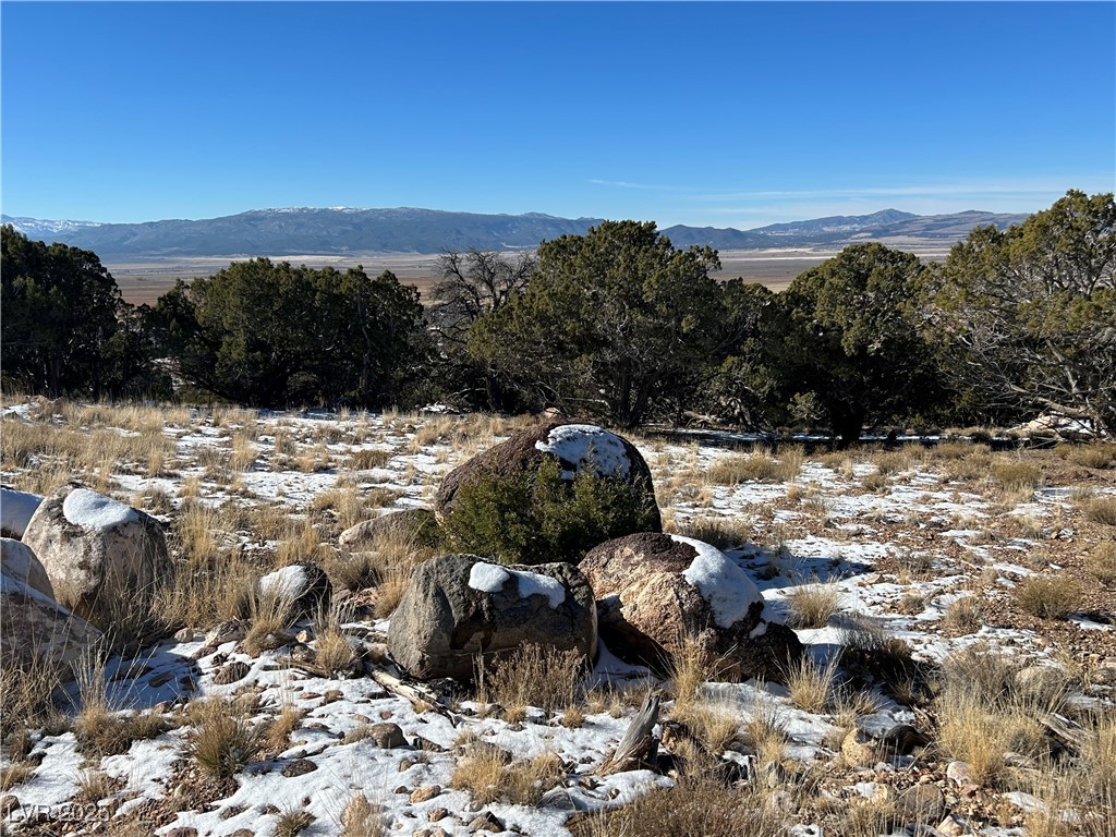 1624 S Panorama Drive