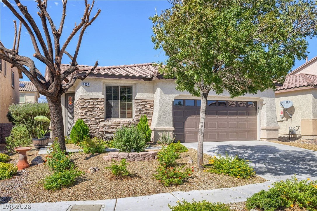 8227 Oasis Bloom Street
