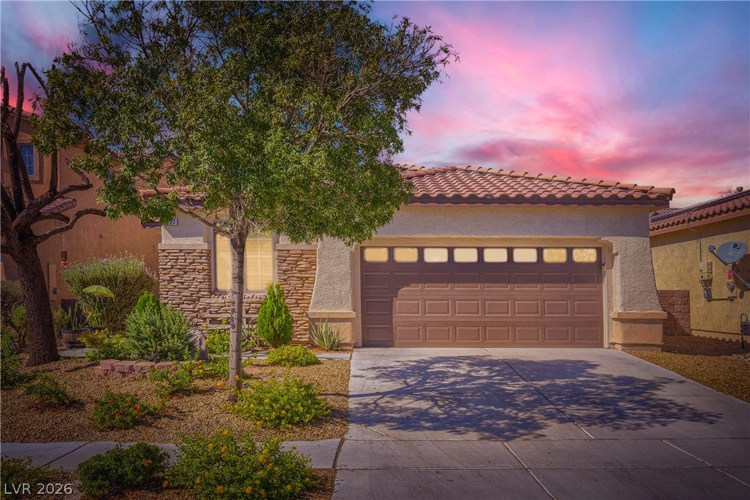 8227 Oasis Bloom Street