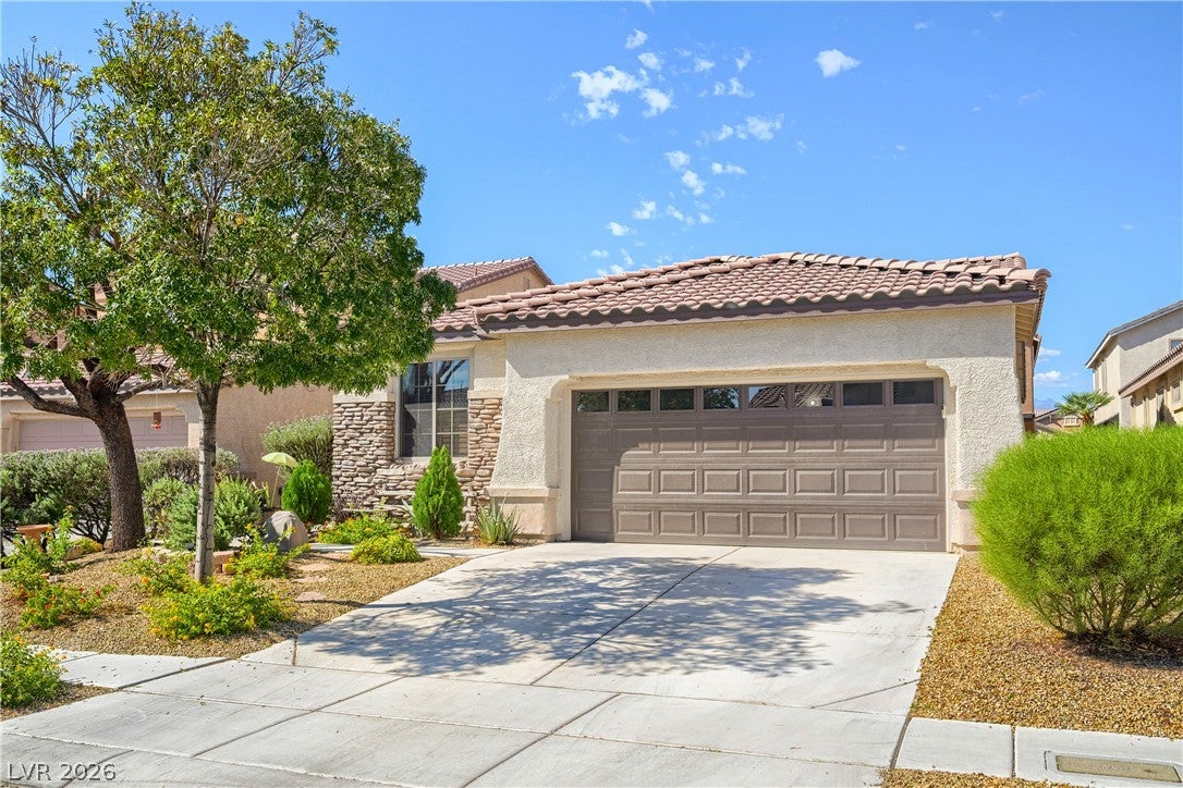 8227 Oasis Bloom Street