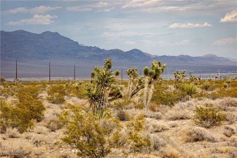 Tiny photo for Rantool Street, Las Vegas, NV 89166 (MLS # 2730411)