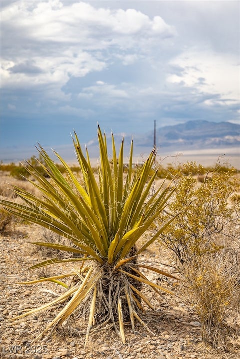 Tiny photo for Rantool Street, Las Vegas, NV 89166 (MLS # 2730411)