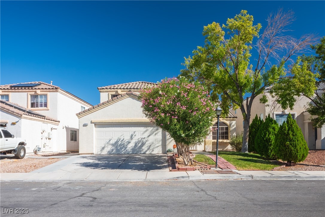 4850 Little Cayman Street