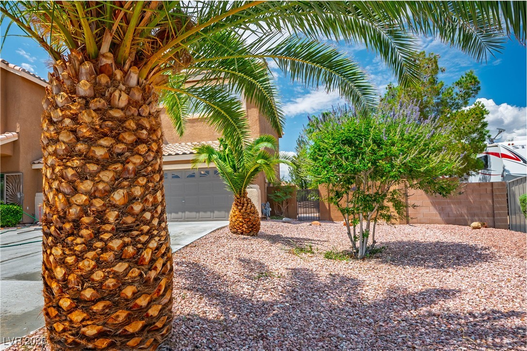 7340 Elderly Avenue, Las Vegas, Nevada image 43