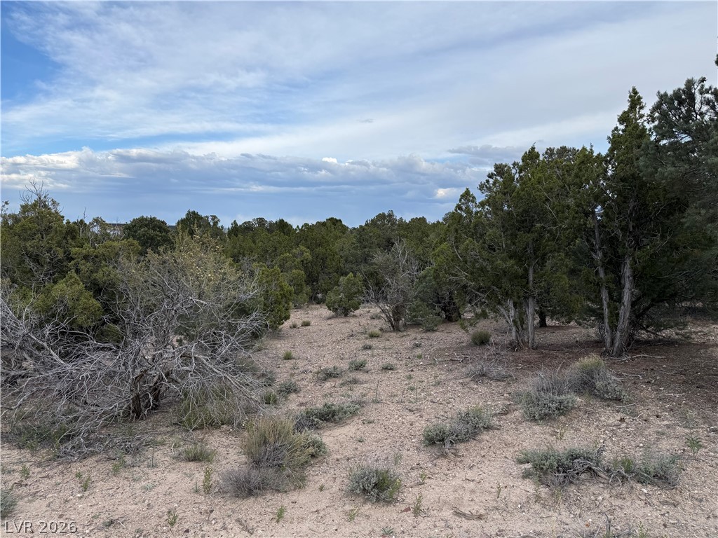 0 Timber Crest Way