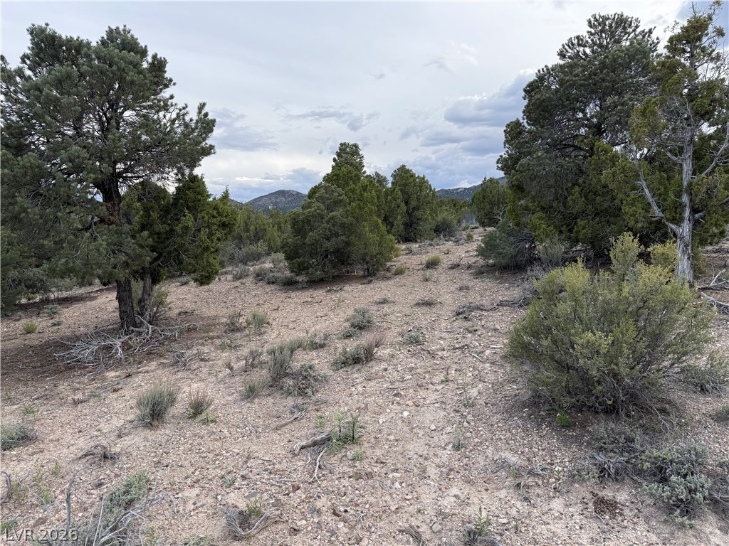 0 Timber Crest Way
