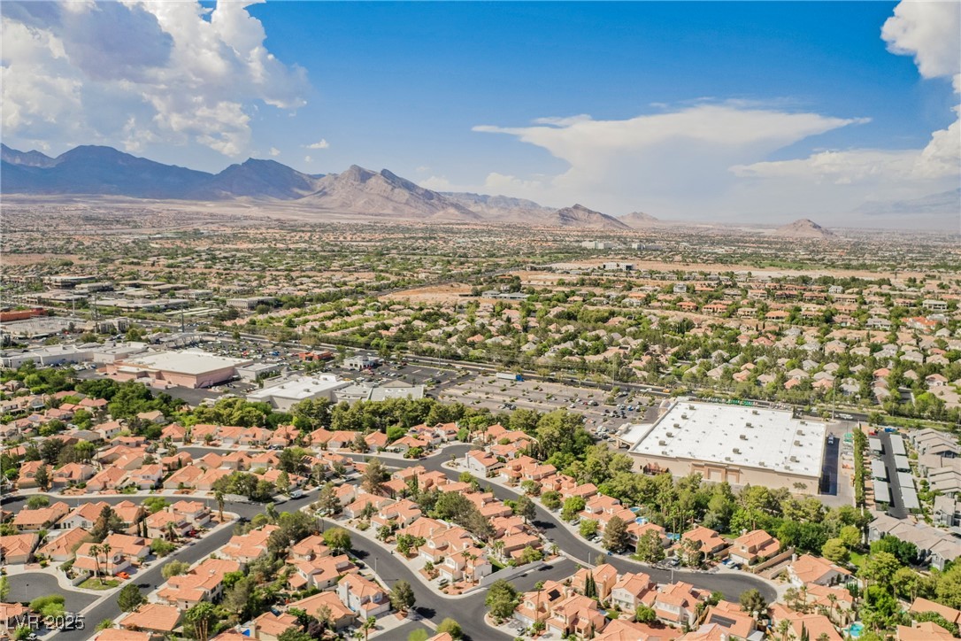 1424 Country Hollow Drive, Las Vegas, Nevada image 49
