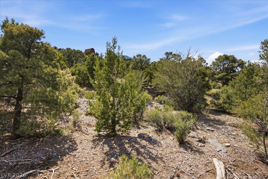 155 Oak Trail Circle