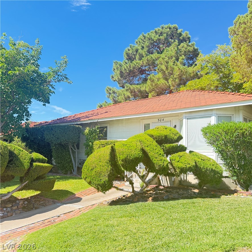504 Cherry Street