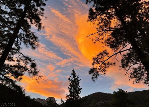 Tiny photo for 5265 Whispering Deer Drive, Mount Charleston, NV 89124 (MLS # 2767130)