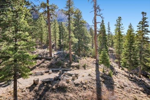 Tiny photo for 5265 Whispering Deer Drive, Mount Charleston, NV 89124 (MLS # 2767130)