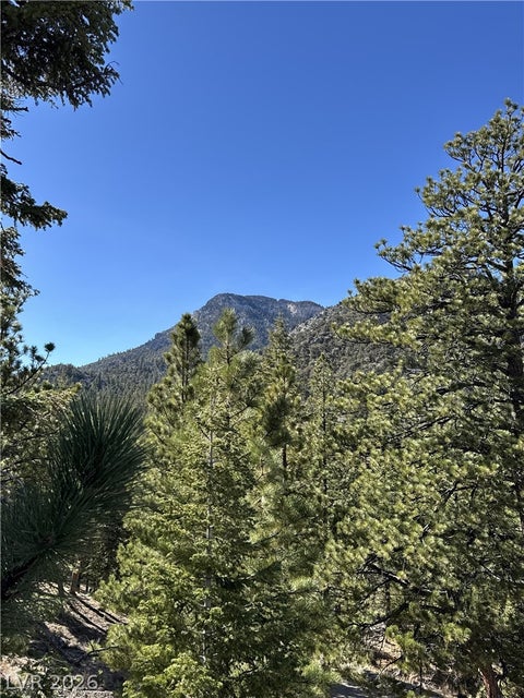 Tiny photo for 5265 Whispering Deer Drive, Mount Charleston, NV 89124 (MLS # 2767130)