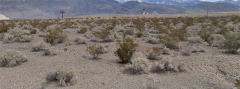 Vacant Land For Sale - 4331 S Excello Avenue<br/> Pahrump, NV 89048