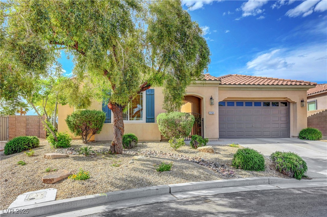 2764 Leys Burnett Avenue, Henderson, Nevada image 5