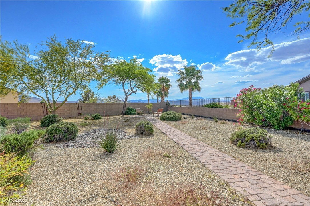 2764 Leys Burnett Avenue, Henderson, Nevada image 46