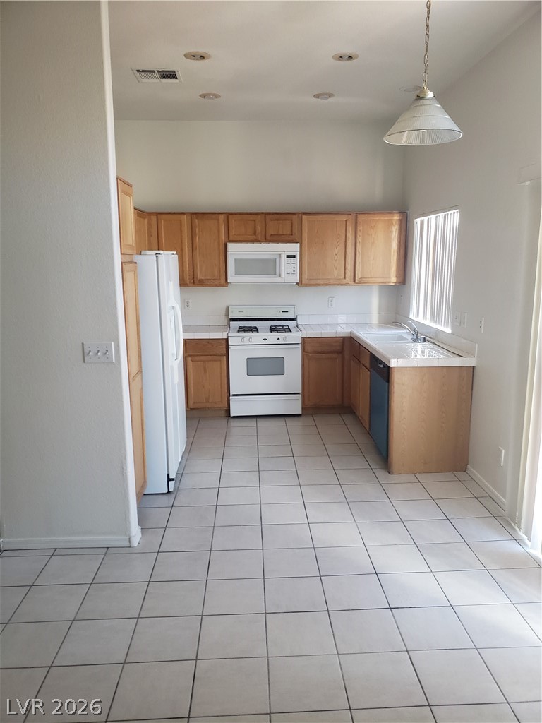 4020 Bonita Desert Court