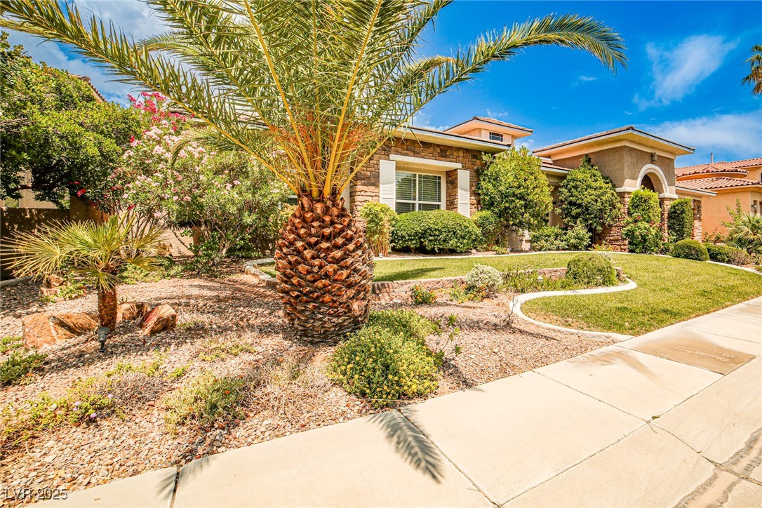 Properties 4 213 Villa Borghese Street