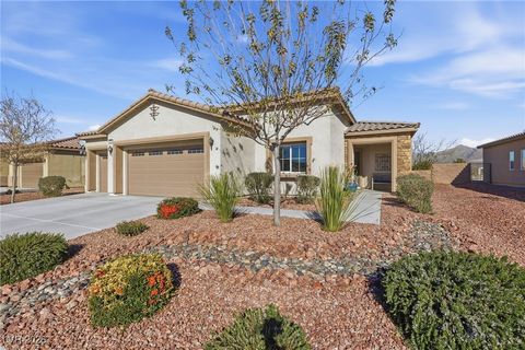 5490 E San Pietro Drive Pahrump NV 89061