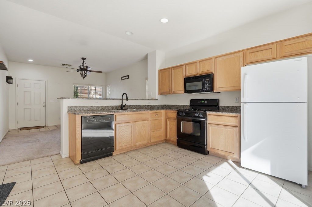 11155 African Sunset Street