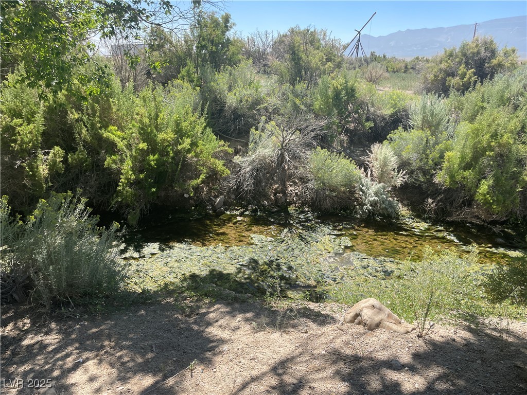 1970 Strawberry Ranch Rd Rd, Ely, Nevada image 4