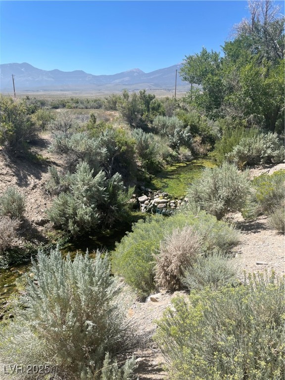 1970 Strawberry Ranch Rd Rd, Ely, Nevada image 3