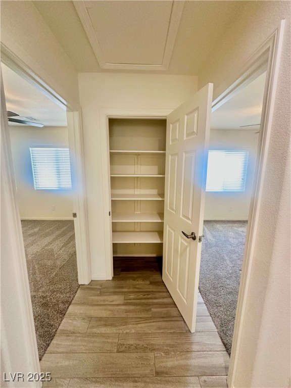 2851 China Cove Street, Laughlin, Nevada image 26