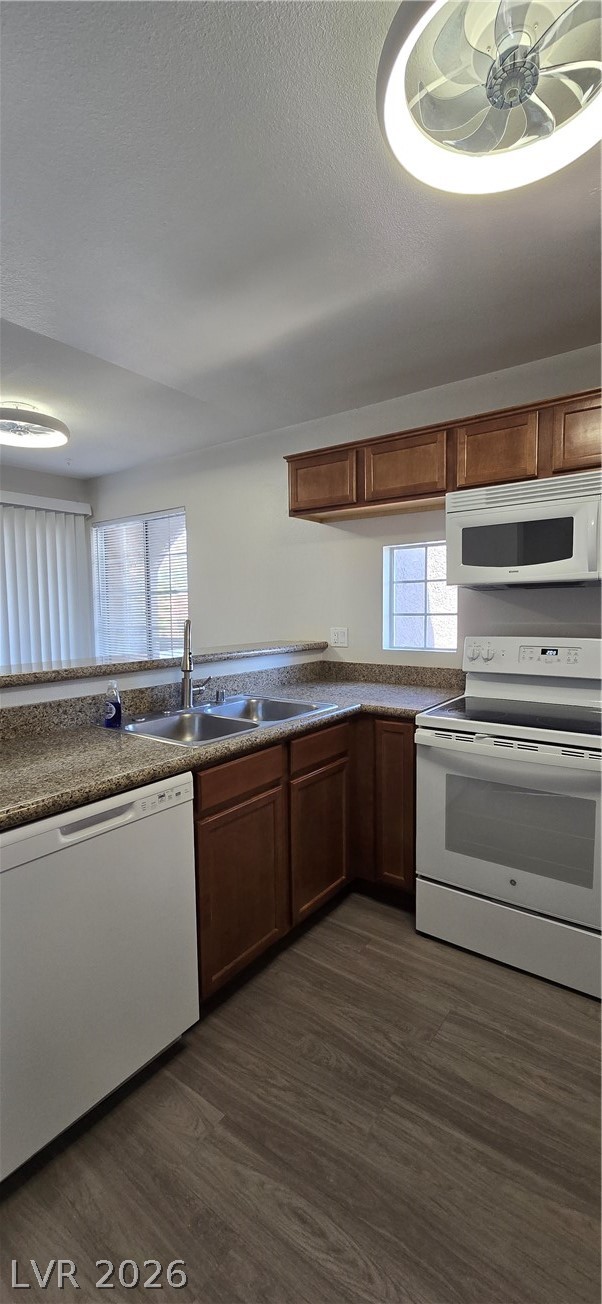 2121 Sealion Drive 205