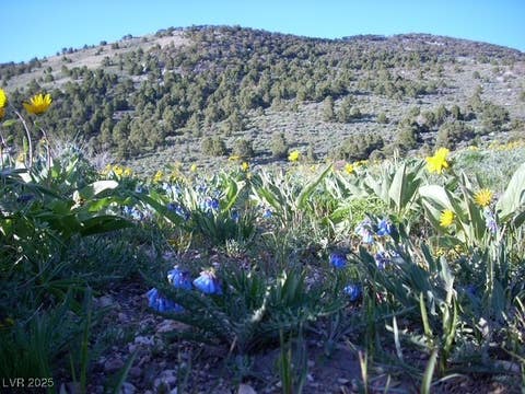 Tiny photo for BBK 634 Acre Parcel, Other, NV 89835 (MLS # 2714352)