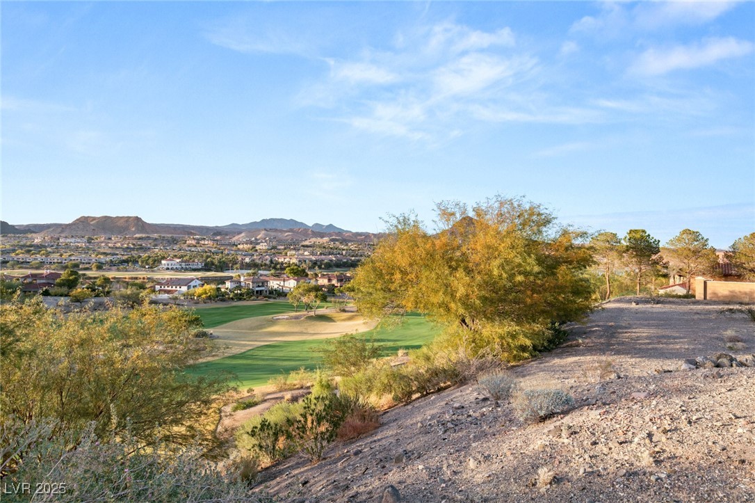 5 Costa Del Sol Court, Henderson, Nevada image 46