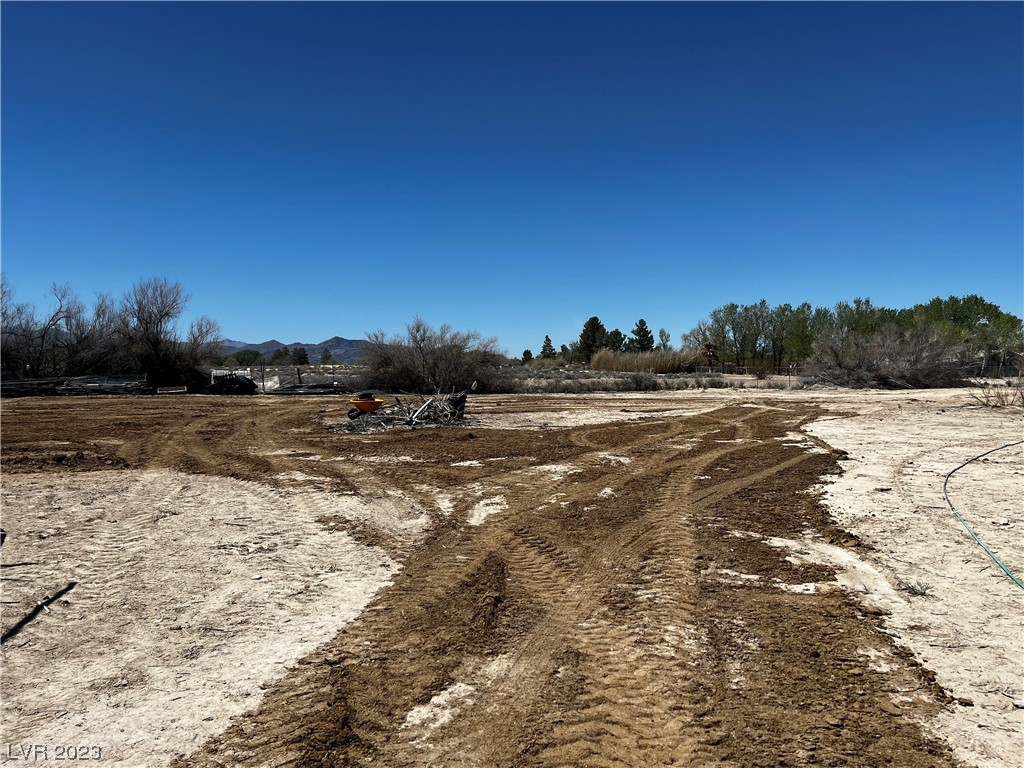 View Sandy Valley, NV 89019 property