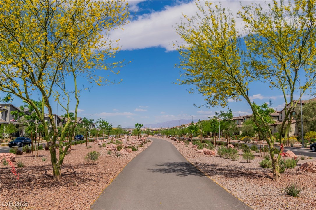 694 Last Dance Place, Henderson, Nevada image 43
